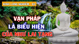 VẠN PHÁP Là Biểu Hiện Của NHƯ LAI TẠNG | Kinh Lăng Nghiêm – Quyển 3