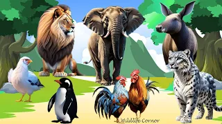 Happy Animal Moment: Tiger, Penguin, Rooster, Elephant, Lion - Animal Paradise