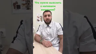 Сколько уколов от бешенства делают? Зависит от того, знаете ли вы эту информацию. #доктор#shorts