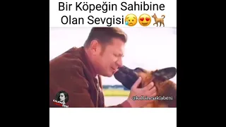 Bir Köpeğin Sahibine Olan Sevgisi😍 #kalbinesaklabeni #duygusalvideolar #köpek #keşfet#dost #sahorts