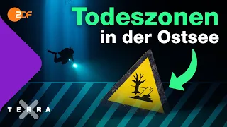 Todeszonen – Warum geht der Ostsee der Sauerstoff aus | Terra X plus