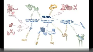 Non Steroidal Anti Inflammatory Drugs NSAIDs (Pharmacology)