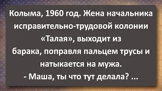 Жена Начальника ИТК "Талая" Ходила в Барак к Зекам! Сборник Самых Свежих Анекдотов! Юмор!