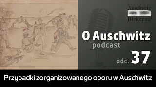 "O Auschwitz" (odc. 37): Przypadki zorganizowanego oporu w Auschwitz