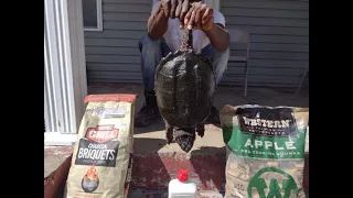 BBQ Snapping Turtle Part 2