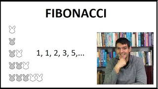 Quem foi Fibonacci?