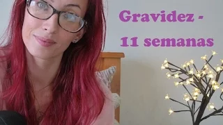 Diario de Gravidez - 11 Semanas