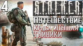 S.T.A.L.K.E.R. Крыса, которая ищет тайники►Путешествие 4 серия