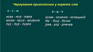 Чергування  приголосних у корені