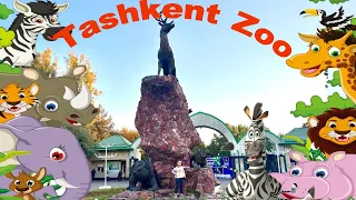 Ташкентский зоопарк удивил