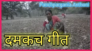 DAMKACH GEET || Anthoni Munda।। दमकच गीत