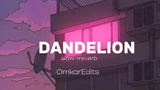 DANDELION (Slow +Reverb)  Omkar Edits