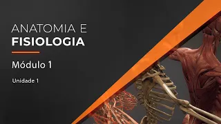 Anatomia e Fisiologia Humana