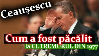 Cum A Fost Pacalit NICOLAE CEAUSESCU La Cutremurul din 1977 !Adevaruri Ascunse Din  Orasul Zimnicea