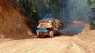 the power off v10 logging truck santaiwong [ lori balak malaysia ]