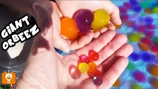 BIGGEST ORBEEZ! HUGE WATER BALLOON BREAKS OPEN + HobbyFamily Fun