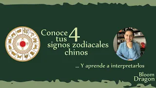 Conoce tus 4 signos zodiacales chinos - Tutorial astrología china