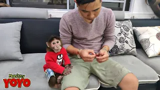 Dad takes care of YoYo JR in new home