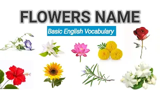 Flowers Name | Learn Flowers Name in English | Basic English Learning