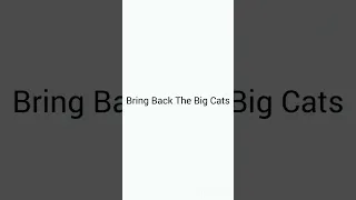 THE HISTORY OF GLASS READING ANSWERS | Bring Back The Big Cats | UK Companies Need More Effective