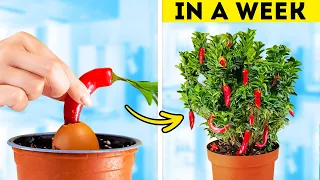 Gardening Hacks for Plant Lovers 🍀