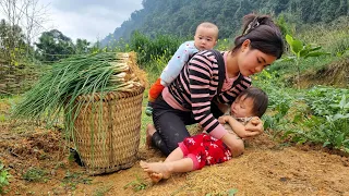 Looking back to the days when the single girl harvested everything to sell to raise her two children