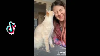 Kiss your pet on the head and see their reaction (Tiktoks experiment)
