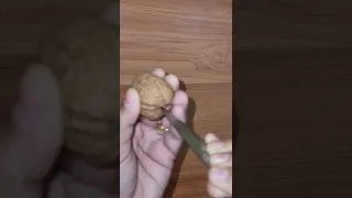 How To Open Walnuts In An Easy Way Without Nut Cracker Easy Trick #shorts #howtoopenwalnut #walnut