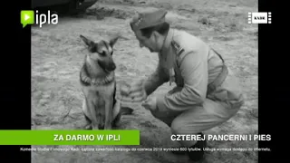 "Czterej pancerni i pies" w IPLI