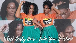 Clutch WD2F Tutorial 4 Curly Hair NATURAL Curly Wig + Closure Updo! NO Plucking NO Bleach @ISEEHAIR