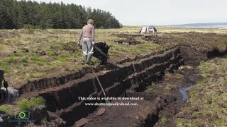 Cutting Turf Peat with a spade in a Moss Bog in Ireland 4k