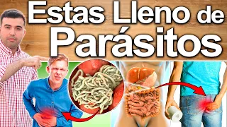 No Ignores Estos Síntomas De Parásitos En Tu Intestino - Puedes Tener Gusanos En Estómago, Cólon Ano