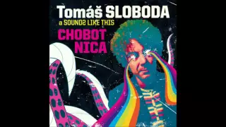 Tomáš Sloboda a Sounds like this - Bojovník