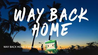 Way back home-Shaun x Mini world