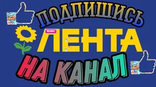 Лента РАСПРОДАЖА августа. Большой обзор в гипермаркете ЛЕНТА