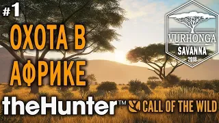 theHunter Call of the Wild #1 🔫 - Охота в Африке - Винтовка - Шакал, Бородавочник, Спрингбок