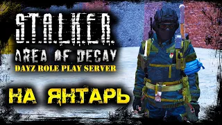 STALKER: Area of Decay ☢ ЗАГАДКИ ЗОНЫ ☢ DayZ RP ☢ (s5 e30) ► DayZ  1.11