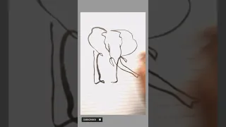 sketch drawing elephant#art#drawing#artist#sketch#elephant#elephantdrawing#portrait#short#video#art