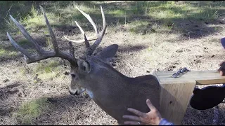 What is a "BRUSH GUN"? Are they important? DEERMEATFORDINNER