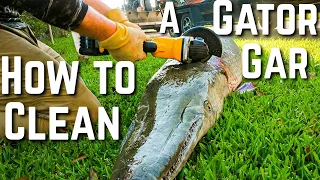 Gator Gar Catch and Clean