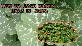 How we cook pumpkin leaves in Africa, Zambia
