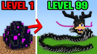 Minecraft, But You Turn into a Dragon...