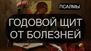 ГОДОВОЙ ЩИТ ОТ БОЛЕЗНЕЙ