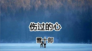 傷過的心 - 雪十郎 - 傷過的心 就像玻璃碎片 愛情的蠢 永遠不會復原 【2019抖音熱門歌曲】