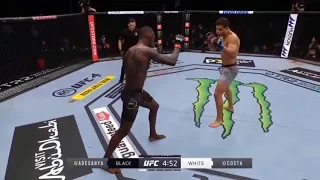Knockout! Watch Israel Adesanya vs. Paulo Costa full fight video highlights - UFC 253