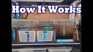 Freshwater Sump Filter Setup