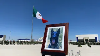 Llegó Proteo a México 🇲🇽