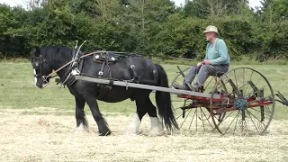 Western Counties Heavy Horse Society Working Day at West Hatch,  Somerset, 31st July 2022.