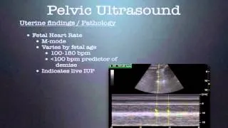 Pelvic Ultrasound   1st trimester