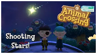 Shooting Stars! | Animal Crossing: New Horizons